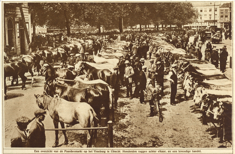 300978 Gezicht op de paardenmarkt op het Vredenburg te Utrecht.